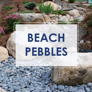 beach pebbles ny ct